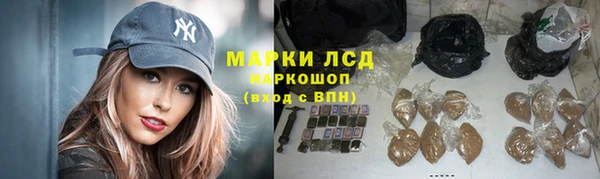 apvp Аркадак