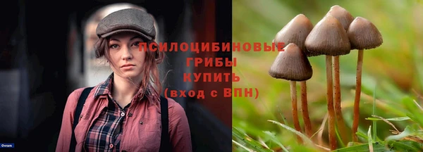 скорость Богородск