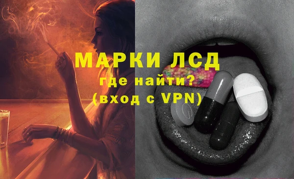 apvp Аркадак
