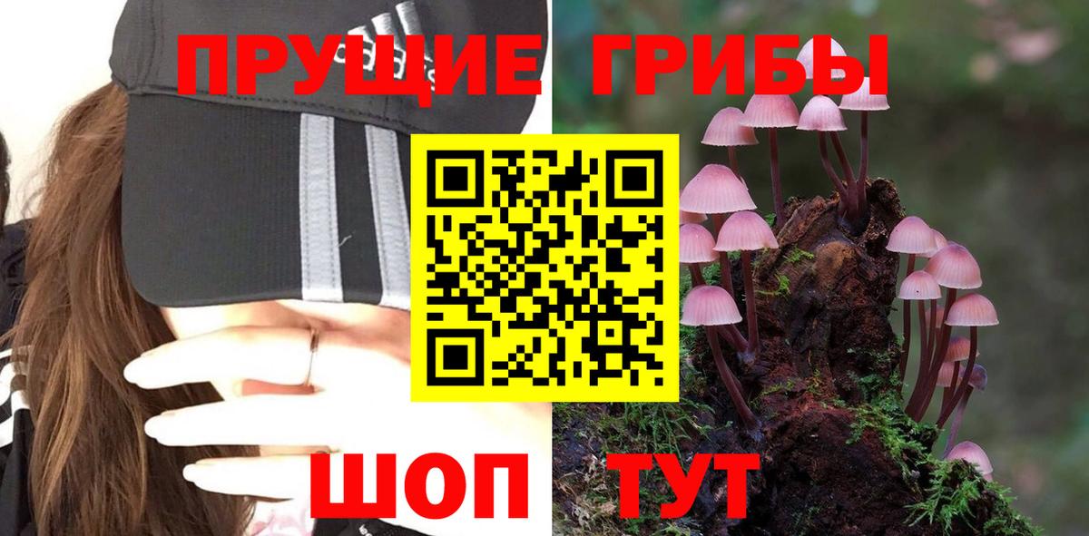 Псилоцибиновые грибы Psilocybe  Вход с VPN  Волгодонск 