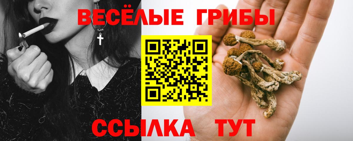 Псилоцибиновые грибы GOLDEN TEACHER Волгодонск